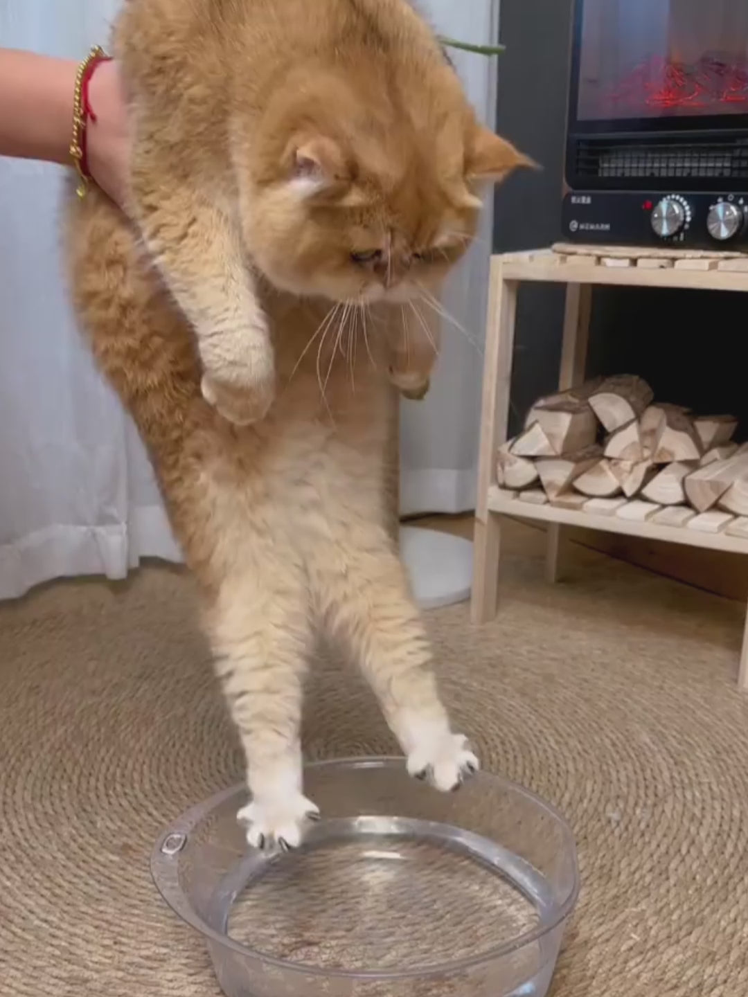 Spazzola vaporizzante®